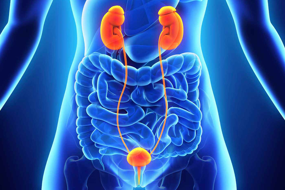 Urosurgery